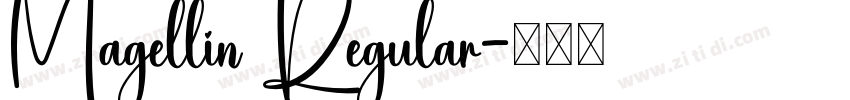 Magellin Regular字体转换